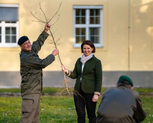 Setzen von Bäumen in der Kaserne Hörsching