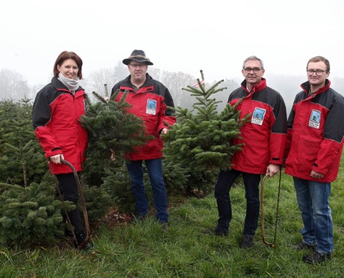 LRin Langer-Weninger und LK OÖ Präsident Waldenberger läuten gemeinsam mit den OÖ Christbaumbauern die Saison ein