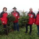 LRin Langer-Weninger und LK OÖ Präsident Waldenberger läuten gemeinsam mit den OÖ Christbaumbauern die Saison ein