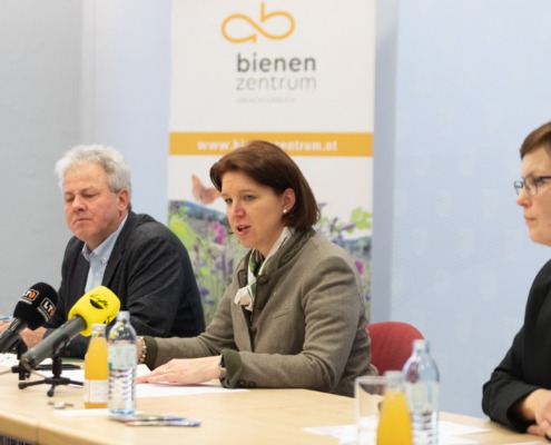 Agrar-Landesrätin Michaela Langer-Weninger bei der Präsentation der Bienenwanderbörse